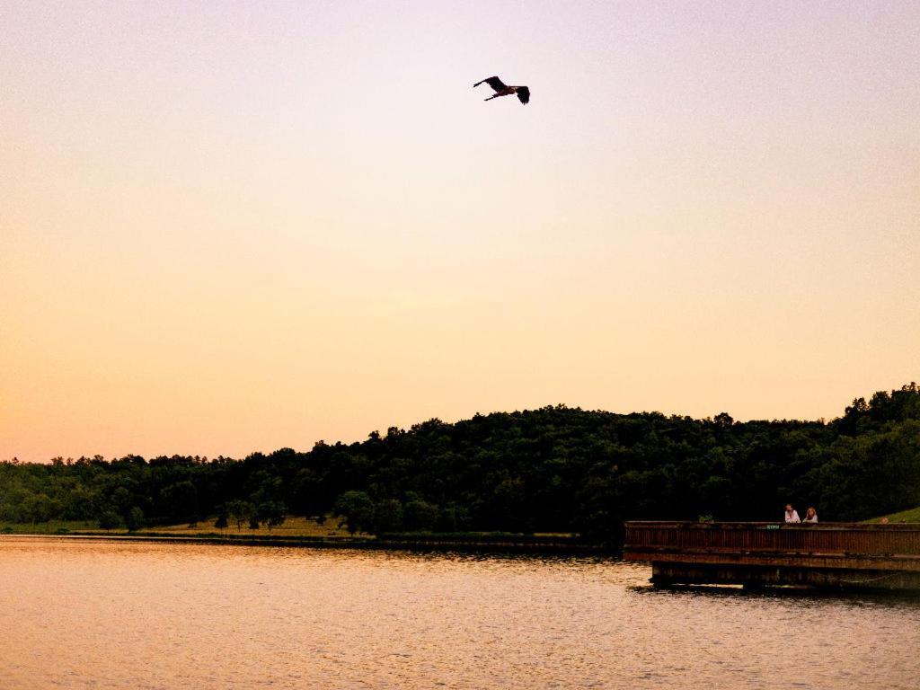 Ymca Trout Lodge Potosi Екстер'єр фото