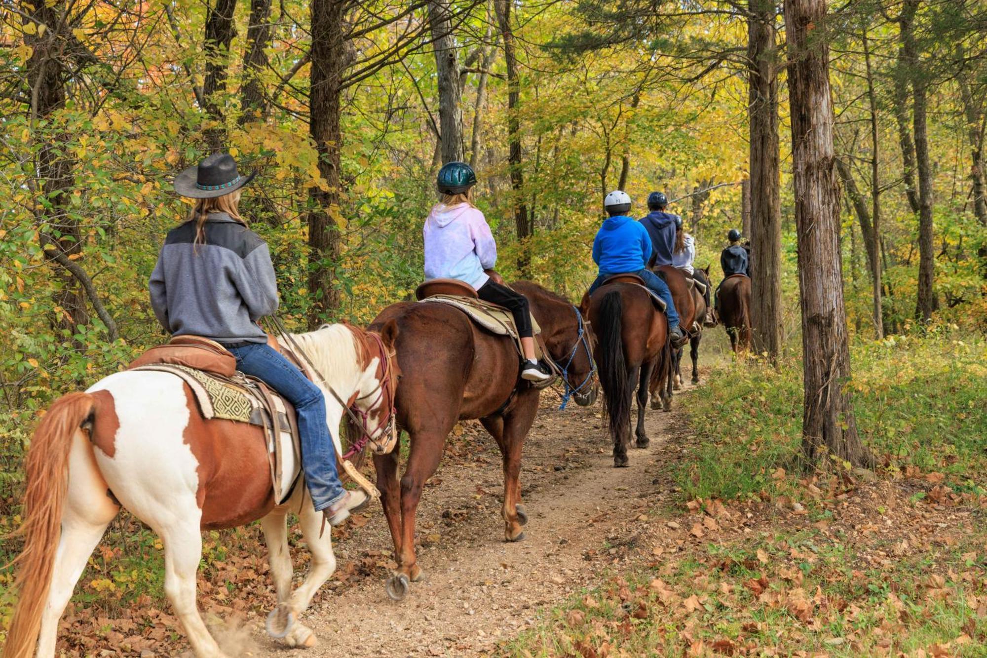 Ymca Trout Lodge Potosi Екстер'єр фото